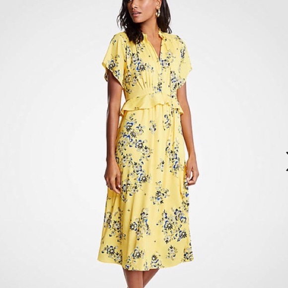 Ann Taylor Dresses & Skirts - LAST CHANCE: Ann Taylor boho midi dress